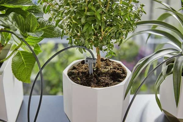 Gardena Vakantie Bewateringsset Incl. Reservoir 4 Gardena Vakantie Bewateringsset Incl. Reservoir - Afbeelding 4