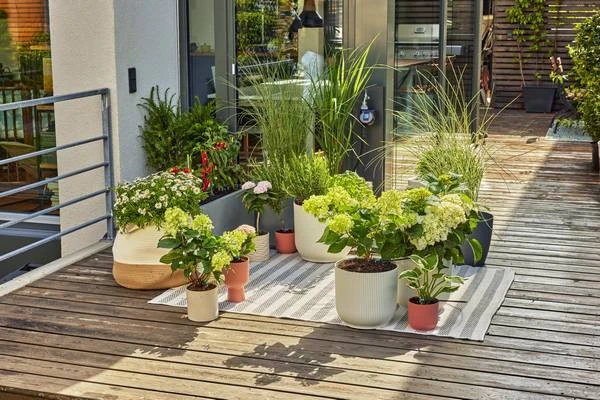 Gardena MDS Set Voor Balkon & Terras 3 Gardena MDS Set Voor Balkon & Terras - Afbeelding 3