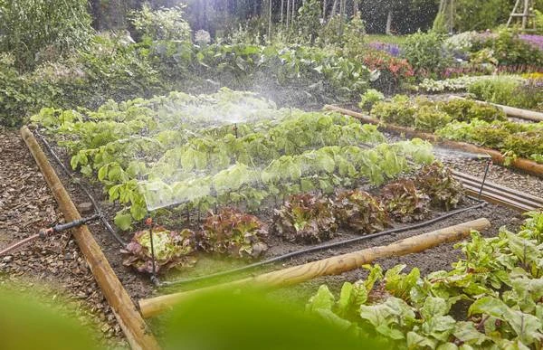 Gardena MDS Startset Moestuin & Borders 3 Gardena MDS Startset Moestuin & Borders - Afbeelding 3