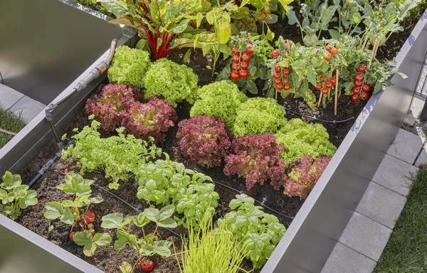 Gardena MDS Startset Verhoogde Moestuin & Borders 2 Gardena MDS Startset Verhoogde Moestuin & Borders - Afbeelding 2