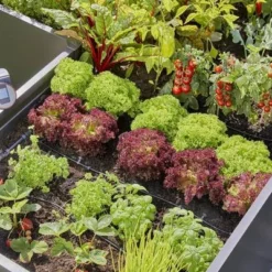 Gardena MDS Startset Verhoogde Moestuin & Borders 7 Gardena MDS Startset Verhoogde Moestuin & Borders -Aanbiedingen Hof Lente Winkel 13455 20.2