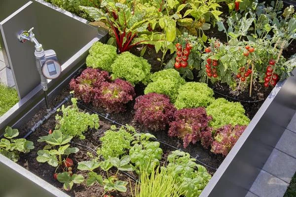 Gardena MDS Startset Verhoogde Moestuin & Borders 3 Gardena MDS Startset Verhoogde Moestuin & Borders - Afbeelding 3