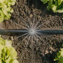 Gardena MDS Startset Verhoogde Moestuin & Borders 8 Gardena MDS Startset Verhoogde Moestuin & Borders -Aanbiedingen Hof Lente Winkel 13455 20 3