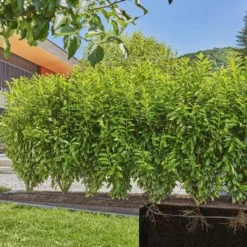 Gardena MDS Startset Voor Hagen En Rijplanten 25m -Aanbiedingen Hof Lente Winkel 13500 20.3