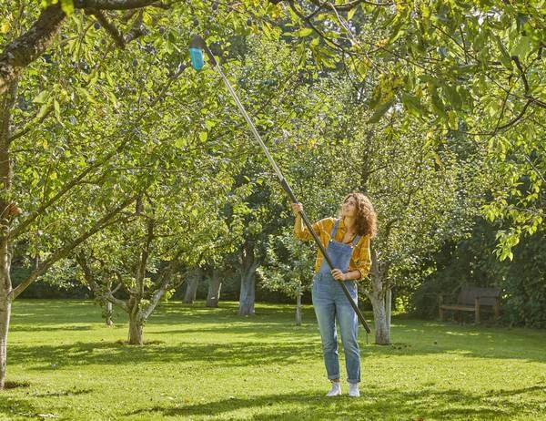 Gardena Combisystem Bessen Plukker 4 Gardena Combisystem Bessen Plukker - Afbeelding 4