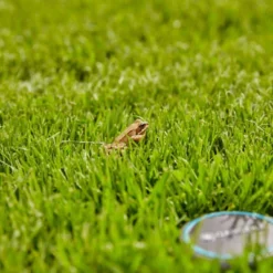 Gardena Bodemvochtigheidssensor -Aanbiedingen Hof Lente Winkel 4078500045575 gardena bodemvochtigheidssensor 5.390