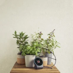 Gardena AquaBloom Set -Aanbiedingen Hof Lente Winkel 4078500049481 gardena aquabloom set 5.319