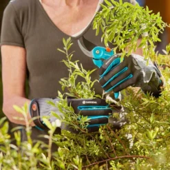 Gardena Handschoenen Struikonderhoud Maat M 7 Gardena Handschoenen Struikonderhoud Maat M -Aanbiedingen Hof Lente Winkel 4078500051873 gardena handschoenen struikonderhoud maat m 4.390