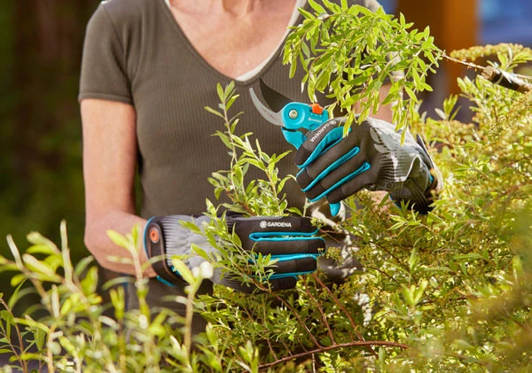 Gardena Handschoenen Struikonderhoud Maat M 4 Gardena Handschoenen Struikonderhoud Maat M - Afbeelding 4