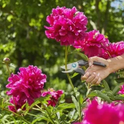 Gardena EcoLine Snoeischaar -Aanbiedingen Hof Lente Winkel 4078500057523 10