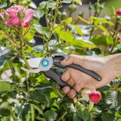 Gardena EcoLine Snoeischaar -Aanbiedingen Hof Lente Winkel 4078500057523 4