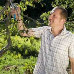 Gardena Comfort Hefboomsnoeischaar SmartCut -Aanbiedingen Hof Lente Winkel 8798 20 gardena comfort hefboomsnoeischaar smartcut 2.64 2