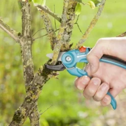 Gardena Classic Aambeeld Snoeischaar A/S -Aanbiedingen Hof Lente Winkel 8855 20 gardena classic aambeeld snoeischaar as 2.60 3