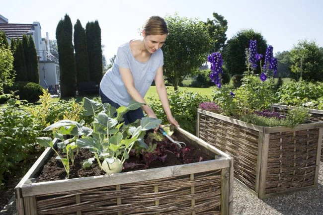 Gardena Handkrabber 3 Gardena Handkrabber - Afbeelding 3