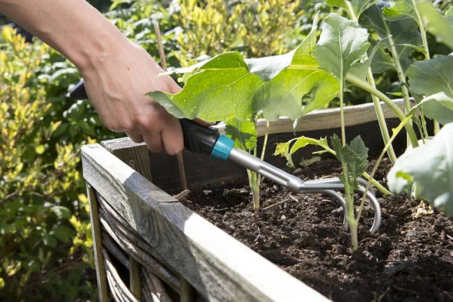 Gardena Handkrabber 4 Gardena Handkrabber - Afbeelding 4