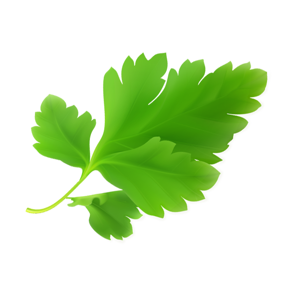 Aanbiedingen Hof Lente Winkel